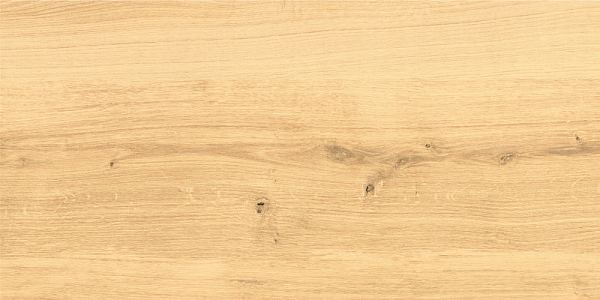 Керамический гранит Cersanit Woodhouse бежевый WS4O012 29,7x59,8 в Уфе — купить с доставкой | Nova