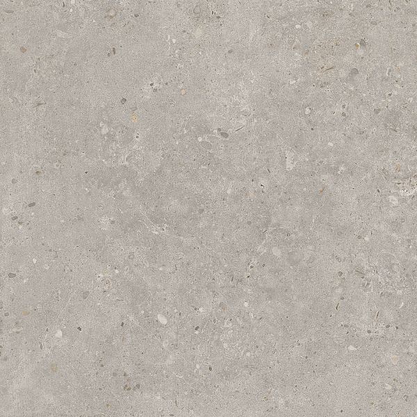 Керамический гранит Kerama Marazzi Риккарди SG653720R серый светлый матовый обрезной 60х60 в Уфе — купить с доставкой | Nova