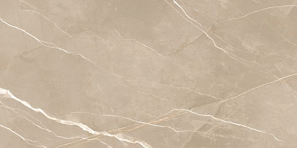 Керамический гранит New Trend Essential Marron полированный 60х120 60120ESE21P в Уфе — купить с доставкой | Nova